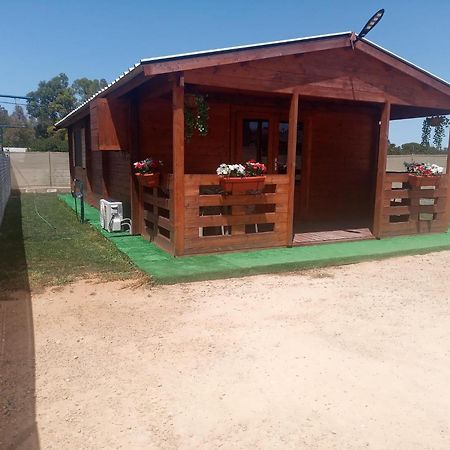Bungalow Sol 치클라나 데 라 프론테라 외부 사진